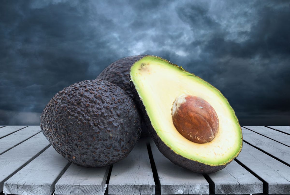 How Mexico&rsquo;s lucrative avocado industry found itself in ganglands