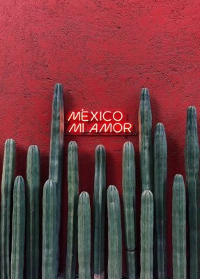 How to Start Forex Trading in Mexico